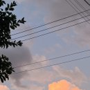 의료법인 성하의료재단 누가병원 이미지