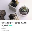 커즈머스 | ✨ 현대프리미엄아울렛 스페이스원, ABC마트 5000원 1만원 균일가 신발 득템하기!(⭐️⭐️⭐️⭐️⭐️ 5점)