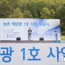 미원태양광발전소 이미지