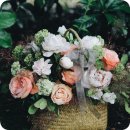 원봉중학교 이미지