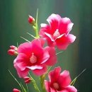 당신이 있어 좋은세상 이미지