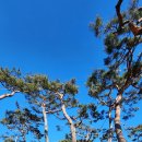 호반으로 여행 이미지