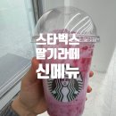 [리뷰] 스타벅스 신메뉴 딸기라떼 후기