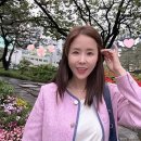 신지 이미지
