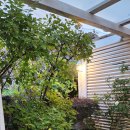 고내리본 이미지