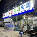 완도수산야채막회 | [대전]갈마동 횟집 완도수산 야채막회 현지인맛집 내돈내산 솔직후기