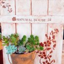 달성토성마을 협동조합 이미지