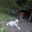 무영농장 이미지