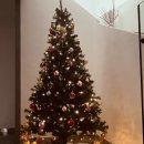 드디어 크리스마스 트리 꺼냈어요! 이미지