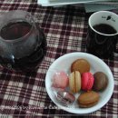 달로와요 이미지