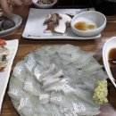달달자연산회 | 대구 죽전동 술집 횟집 추천 예약 필수라는 '자연산회' 도다리 맛집 후기