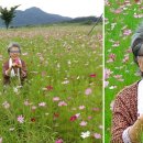 혜성사진관 이미지
