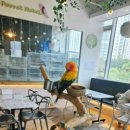 세계미니어처 전시관 이미지