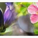 (주)미림조경 이미지