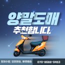 엠플러스유통 이미지