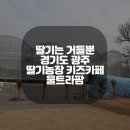 광주농장 이미지