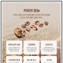 프레이즈 영상 네이버블로그