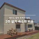 함덕생활 | 제주 함덕 2주 살기 뚜벅이로 5살 7살 아이와 숙소 예약 후기