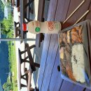 트럼프의 관세정책이 민주당세에 막히지만 미 민주당 구심점 없다네요..바이든의 고금리 책이 초 쳤슴. 이미지