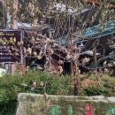 화강황토 네이버블로그