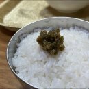 풍진곰탕 이미지