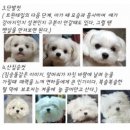 헤이! 멍 이미지