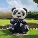 밭상구 이미지