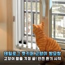 펫키퍼 | 고양이 방묘창, 이제 안심하고 환기하세요! 테일로그 캣키퍼 설치 후기