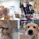 무리개농장 이미지