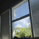 STAY HARUM 이미지