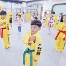 고려 청룡 태권도 이미지