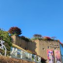 자연사랑 미술관 | 서울 미술관 전시 및 석파정 주말 가을 나들이 후기