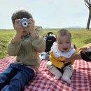 대저유치원 | 아기랑 아이랑 부산 사상 삼락생태공원 봄피크닉 자전거 마차 대여