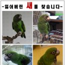 쟈딘