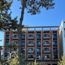 브라운도트2 이미지