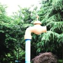 생명의 근원 休 이미지