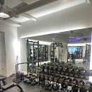대로 GYM | 잠실새내 여자 트레이너 있는 피티샵 I 발란아워 GYM