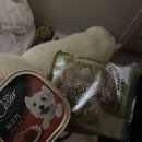 진아편의점