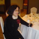 화곡4동504 Daum카페