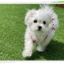 아이조아요양보호소 전남광주점 이미지