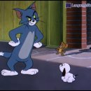 톰과 제리 이미지