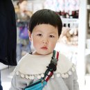 동심예능유치원 이미지