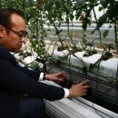 (주)이에스팜 이미지