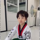 늘푸른태권도체육관 이미지