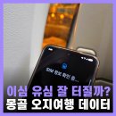 옹기에한가득 | 몽골 이심 유심 esim 오지 여행 후기 옹기사원 게르