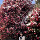 태산수산 | 제주도 설산에 설날까지~ - 2월의 일상