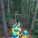 동두천자연휴양림 이미지