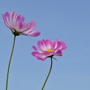 한강시민공원 이미지