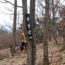 진동만수산
