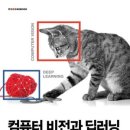 바이트러닝 이미지